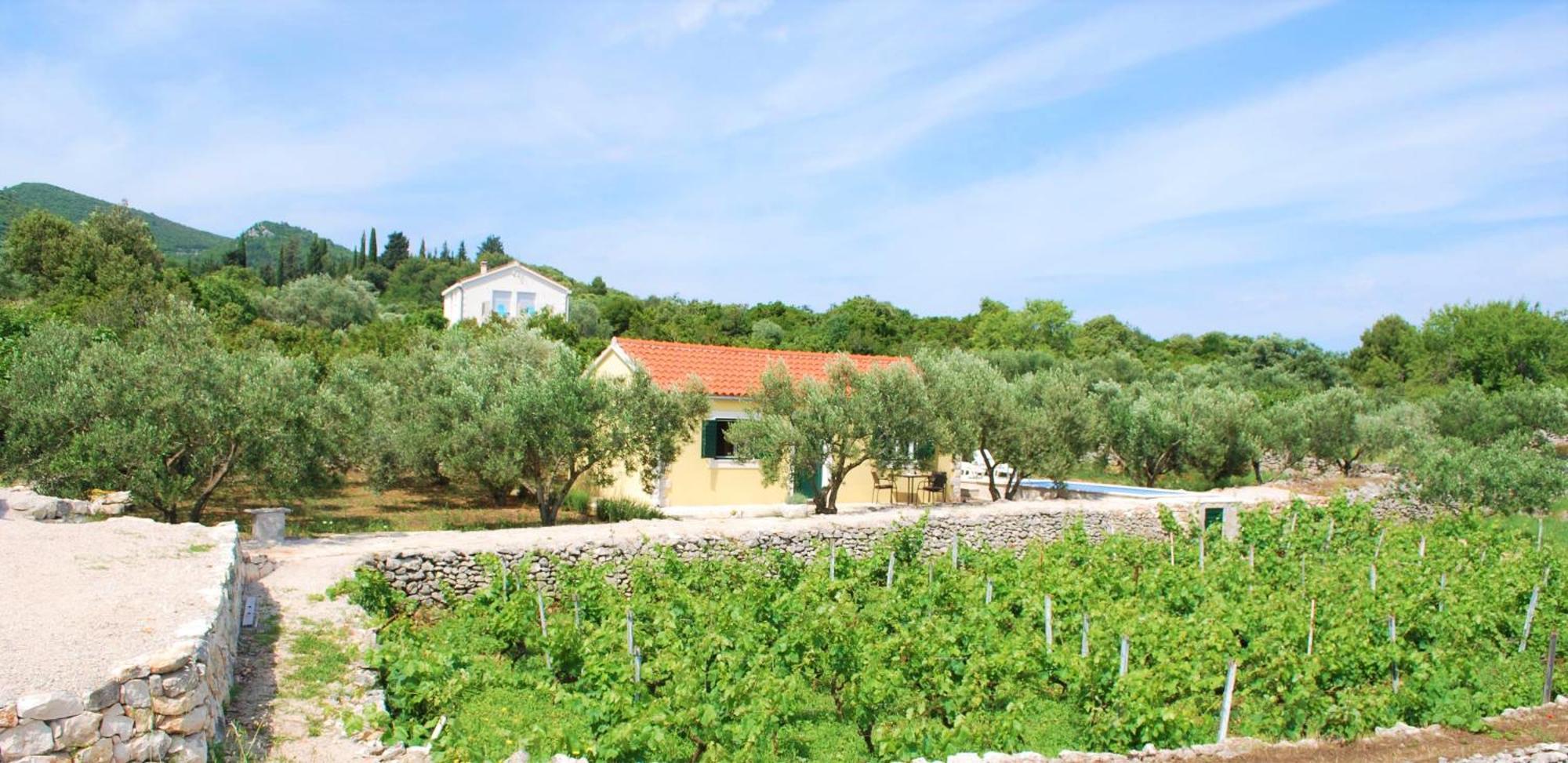 Vineyard House & Olive Grove House Villa Račišće Eksteriør bilde
