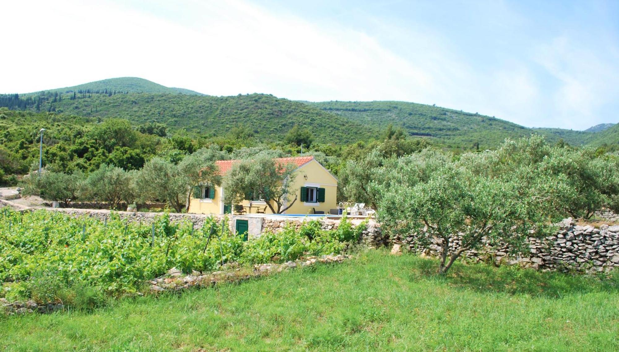 Vineyard House & Olive Grove House Villa Račišće Eksteriør bilde