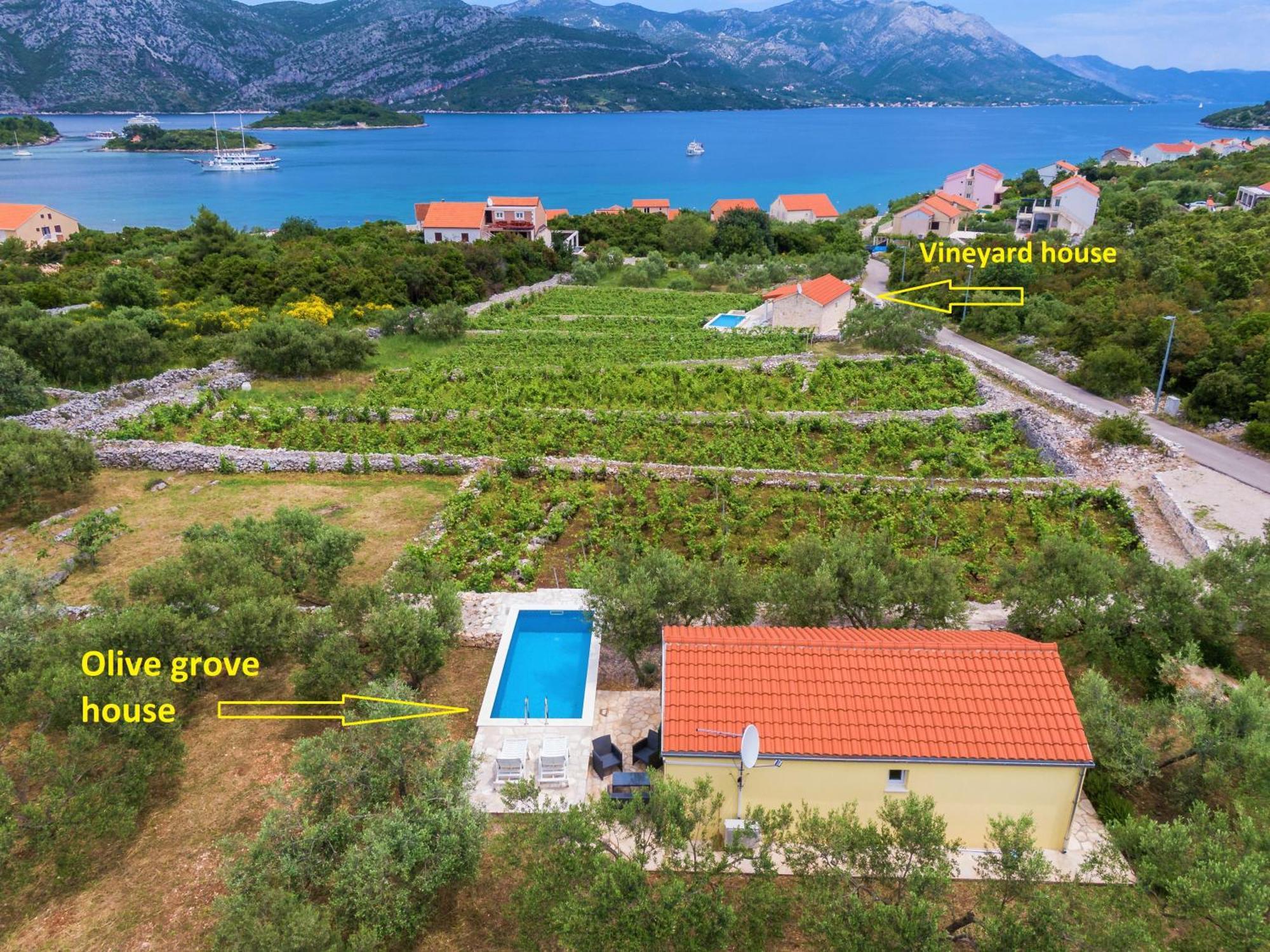 Vineyard House & Olive Grove House Villa Račišće Eksteriør bilde