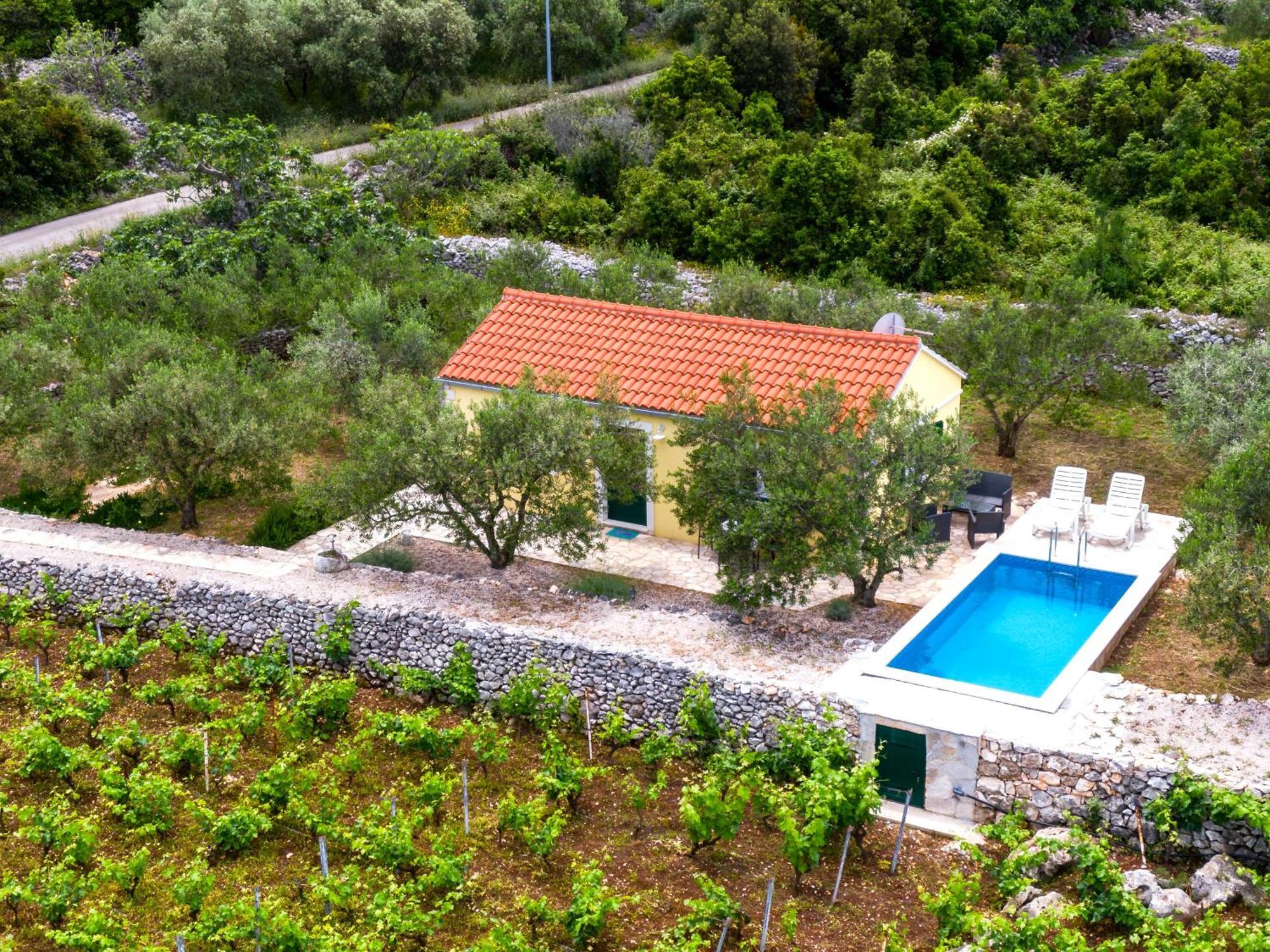 Vineyard House & Olive Grove House Villa Račišće Eksteriør bilde