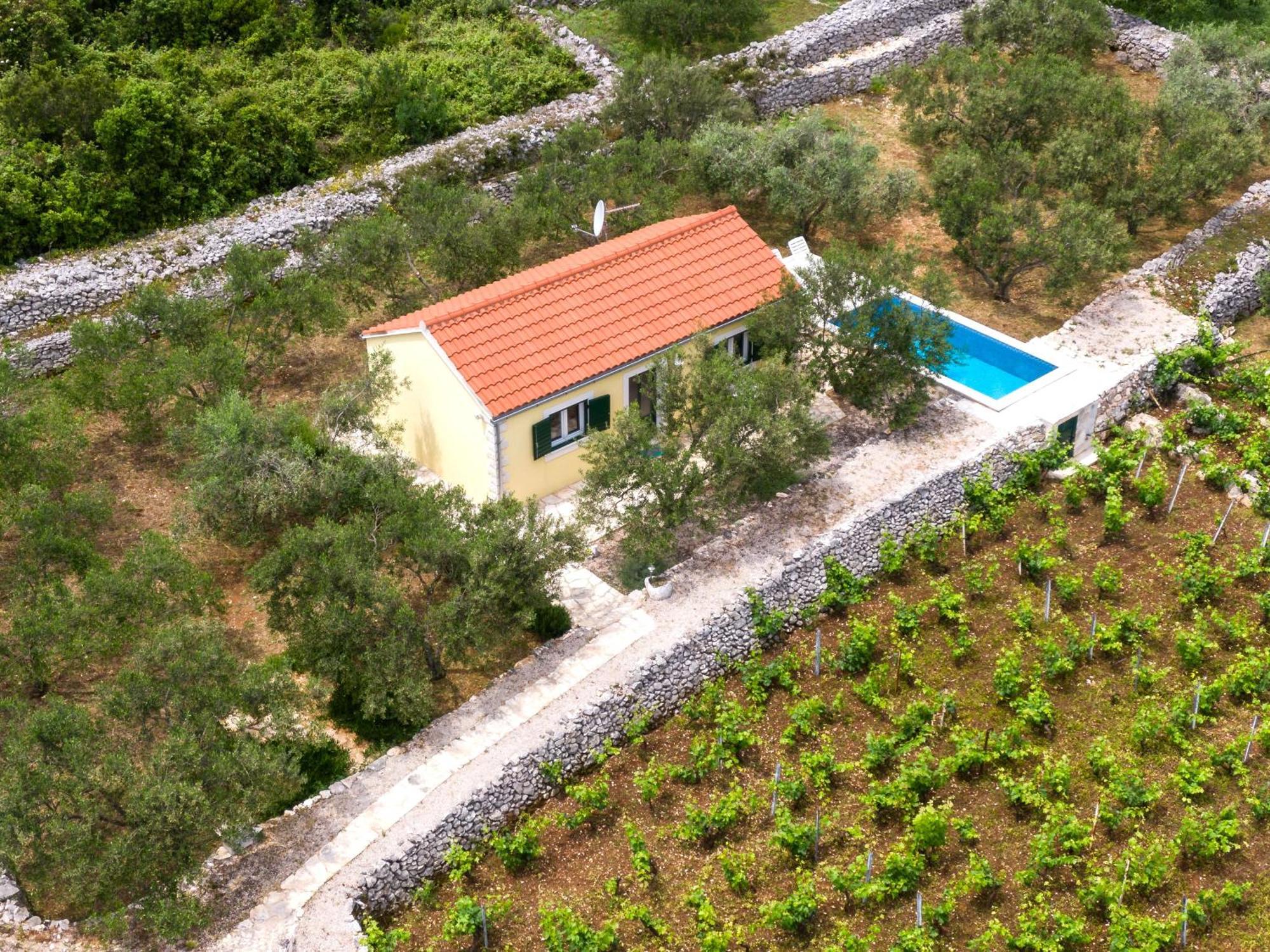 Vineyard House & Olive Grove House Villa Račišće Eksteriør bilde