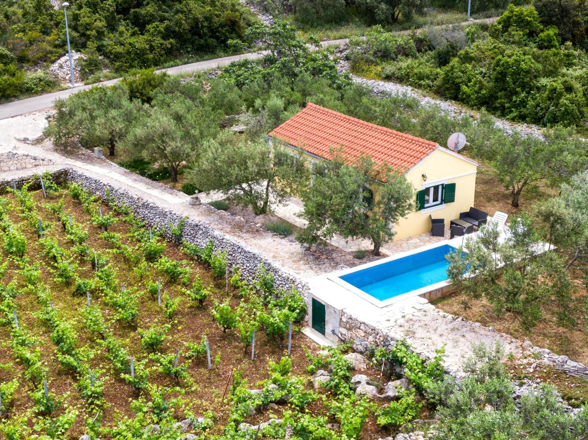 Vineyard House & Olive Grove House Villa Račišće Eksteriør bilde