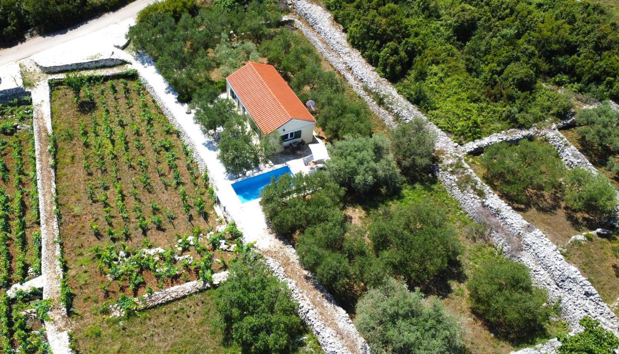 Vineyard House & Olive Grove House Villa Račišće Eksteriør bilde