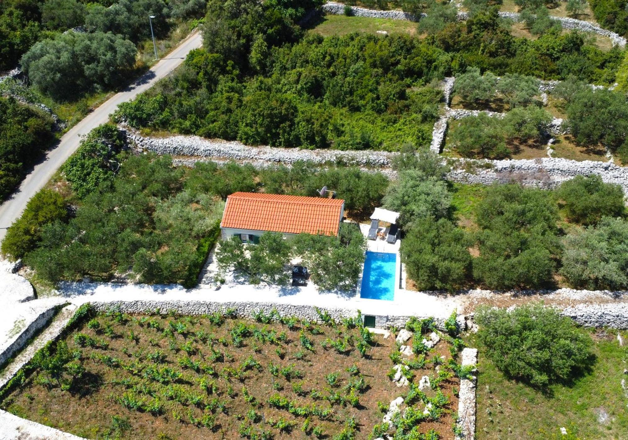 Vineyard House & Olive Grove House Villa Račišće Eksteriør bilde