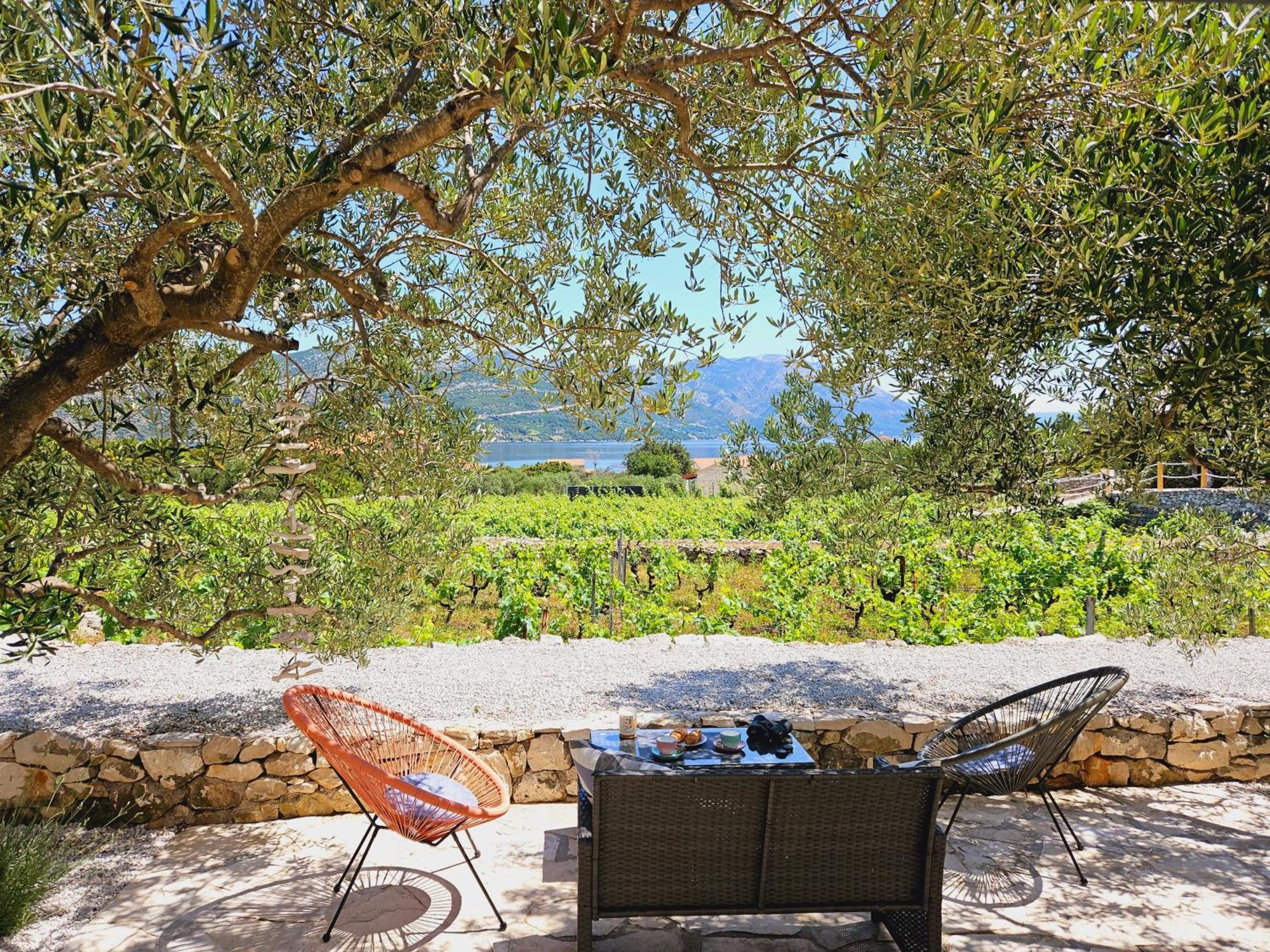 Vineyard House & Olive Grove House Villa Račišće Eksteriør bilde