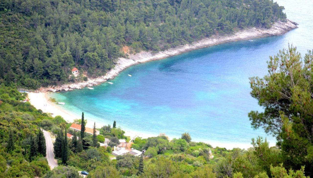 Vineyard House & Olive Grove House Villa Račišće Eksteriør bilde