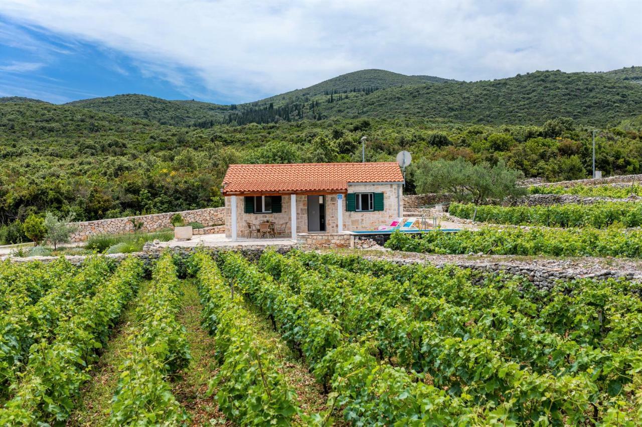Vineyard House & Olive Grove House Villa Račišće Eksteriør bilde
