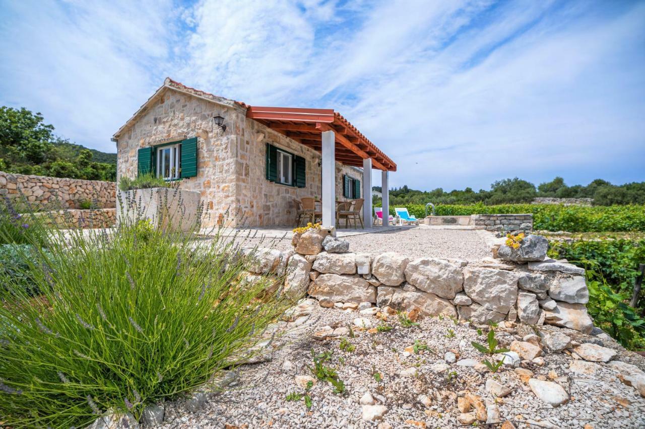 Vineyard House & Olive Grove House Villa Račišće Eksteriør bilde
