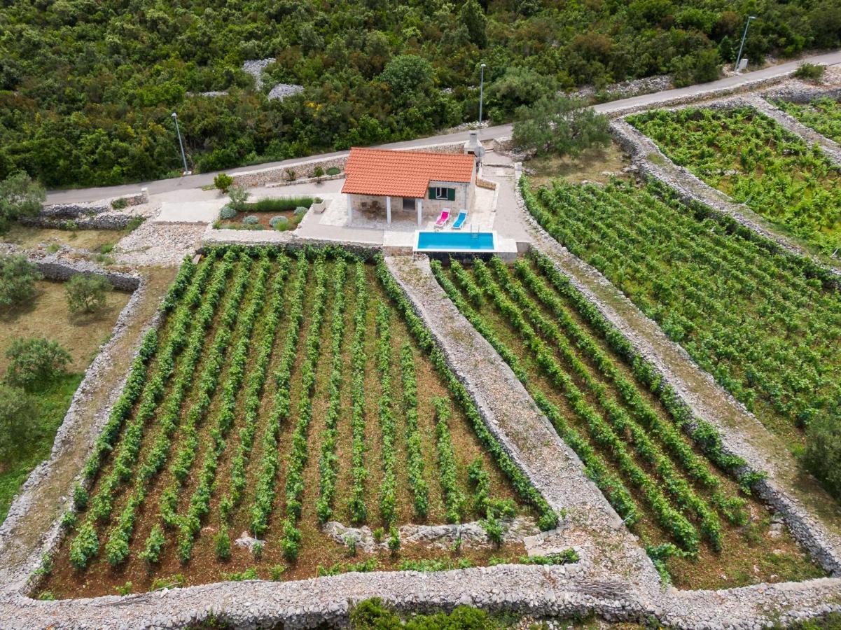 Vineyard House & Olive Grove House Villa Račišće Eksteriør bilde