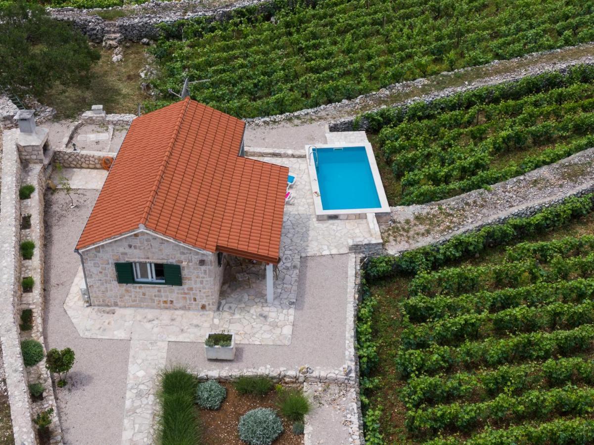 Vineyard House & Olive Grove House Villa Račišće Eksteriør bilde