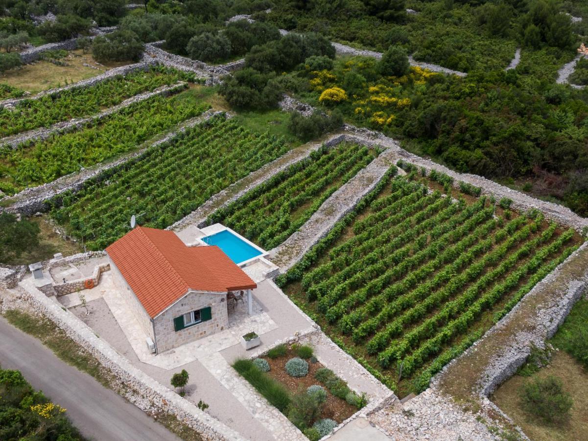 Vineyard House & Olive Grove House Villa Račišće Eksteriør bilde